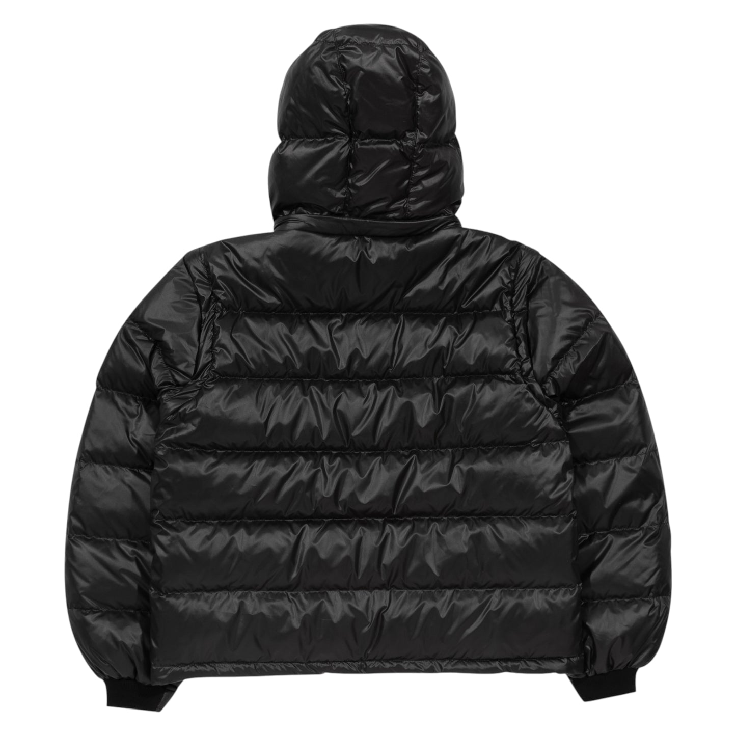Corvidae X DItch Shiny Puffer black