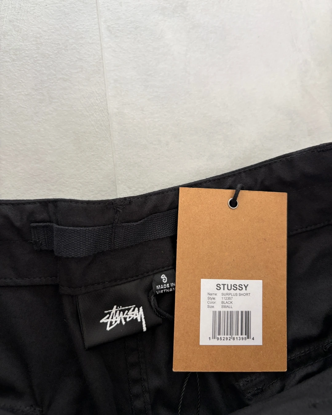 Stussy Surplus Shorts black